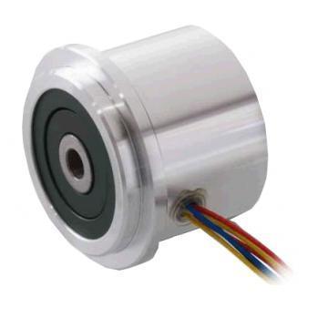 Maxon 解析器 