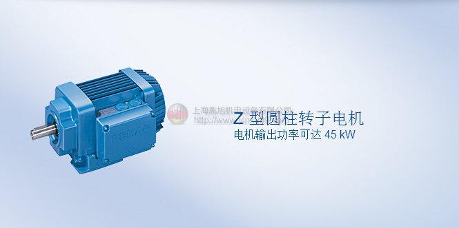 DEMAG电机 Z型圆柱转子电机