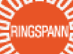 供应德国RINGSPANN轴承